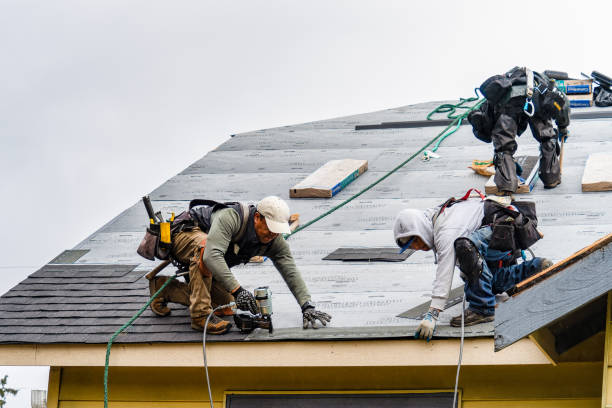 Professional Storm Damage Roof Repair technician working in Whitakers, NC